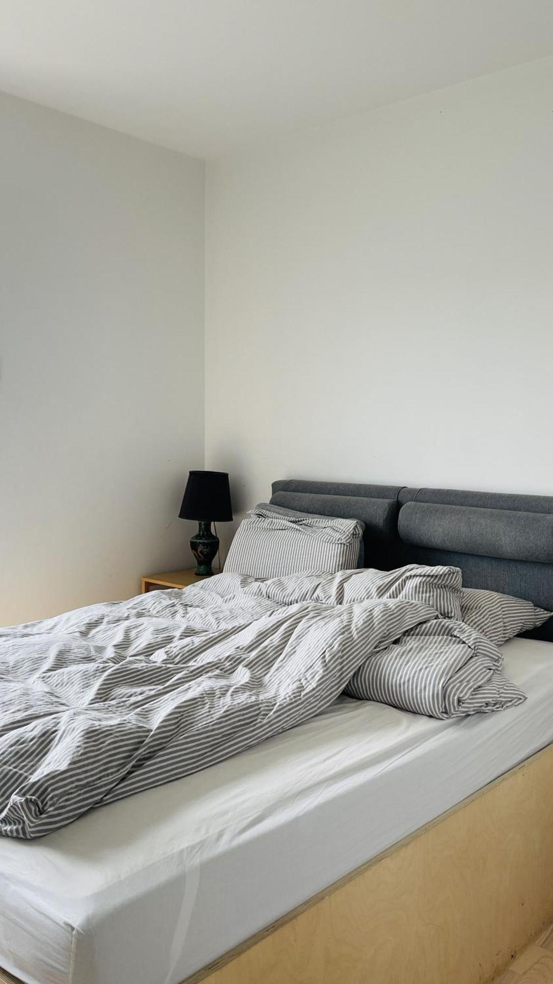 Apartmentincopenhagen 1609 Copenaghen